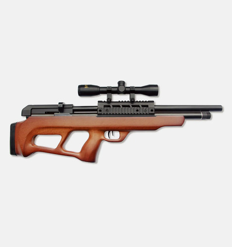 Rifle Pcp Beeman Underlevel Pcp .22 Bomba Y Mira