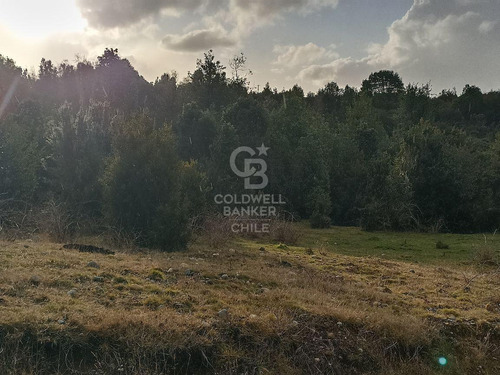 Parcela De 5000 M2, En Condominio, Con Acceso Controlado