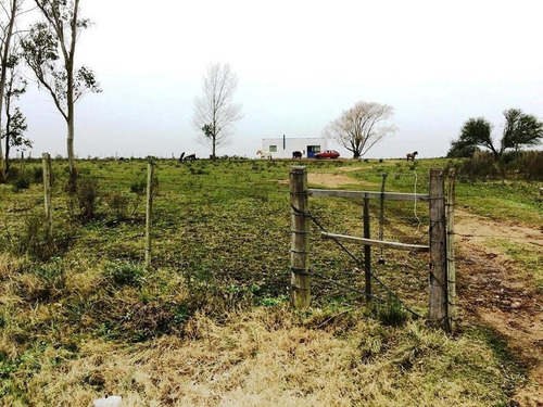 Quinta | Ruta 39 Km 87