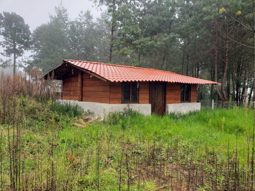 Imagen 3 de 9 de Vendo Cabaña En Zacatlan, Puebla