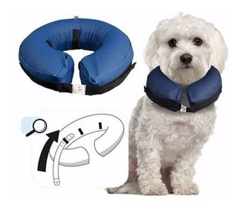 Collar Isabelino Inflable Perros Y Gatos Talla L Pethome