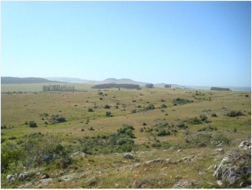 Campo En Venta En Lavalleja, 5 Hectáreas.