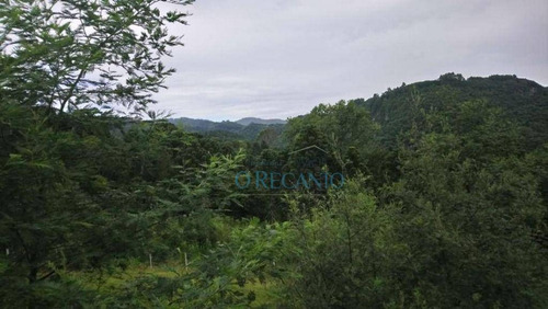 Imagem 5 de 11 de Sítio À Venda, 88634 M² Por R$ 1.055.000,00 - Linha Furna - Gramado/rs - Si0107