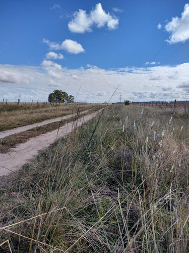 Hectareas En Venta En Oliden