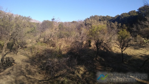 Oportunidada Nuevo Precio Lote En Villa Elena De 7647m2 Ideal Cabañeros Cortaderas San Luis