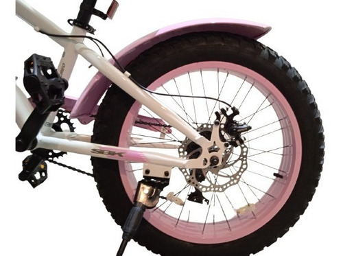 Imagen 4 de 7 de Bici Fat Hunter Rod 20 Ruedas Anchas Sbk Patona 7 V Shimano