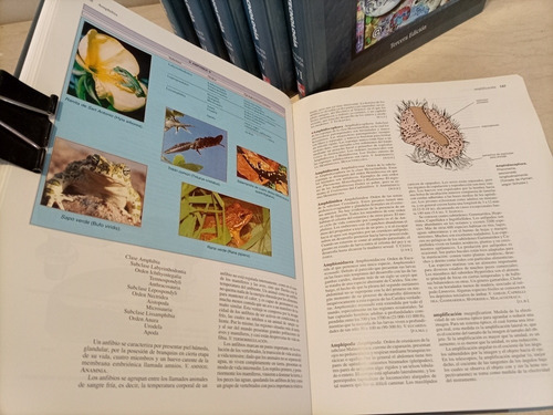 Libro. Enciclopedia De Ciencia Y Tecnología. Tercera Edición (Usado)