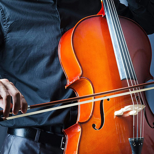 Crin De Caballo Para De Violín Traje De Cuerdas Para Violín