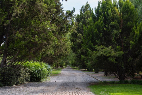Venta De Terreno En Viñedo La Santisima Trinidad, San Miguel De Allende