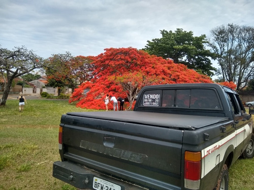 Chevrolet C20 Luxo
