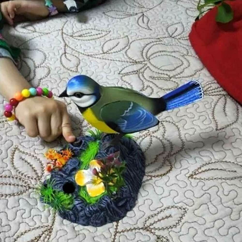 Nuevo Canto De Pájaros Y Canto En Tocón, Sonidos Y