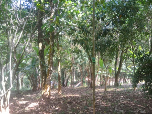 Imagem 20 de 30 de Sítio C/ Casa, Piscina, Pomar E Um Lindo Chalé Em Condomínio Rural Clube Juca Vieira C/ Área De 9.000 M², No Condomínio Clube Campestre Juca Vieira! - Oci0106 - 69677222