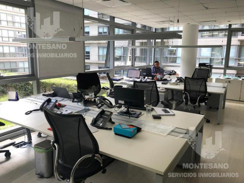 Imagen 3 de 21 de Alquiler Oficina En Puerto Maderoalquiler Oficina En Puerto