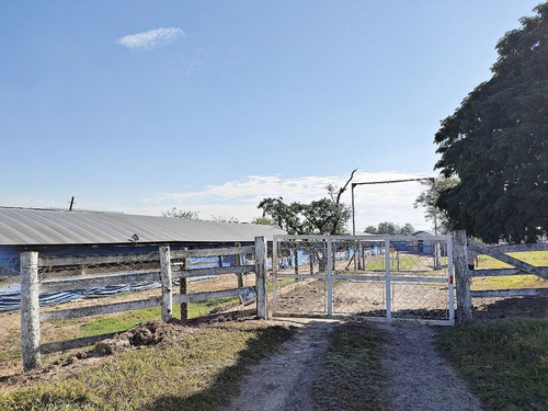 Imagem 2 de 30 de Sítio Com 3 Dormitórios À Venda, 54691 M² Por R$ 2.300.000,00 - Pau Queimado - Piracicaba/sp - Si0033