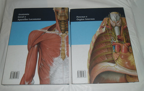 Prometheus Atlas Anatomia Pescoço Orgãos Aparelho Locomotormichael Schunke