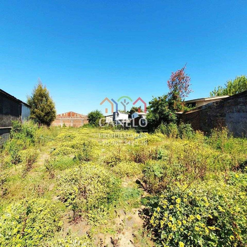 Imagen 3 de 7 de Sitio En Venta En Barrio Norte, Concepcion
