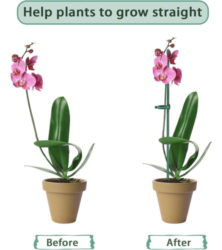 Soporte Para Plantas, Soporte Para Flores, Orquídeas, 10 Uni