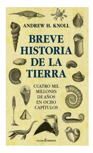 Breve Historia De La Tierra - Knoll