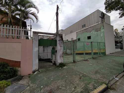 Imagem 3 de 13 de Terreno Na Vila Matilde - 3396-1
