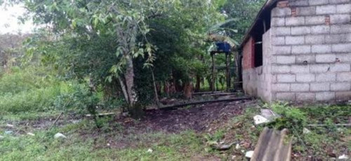 Imagem 22 de 25 de Chácara Com 50.000 M² De Área Total E Com Horta, Lago, Riacho, Pomar E Cozinha Caipira, No Bairro Gaivota, Em Itanhaém Ref: 9242/ac