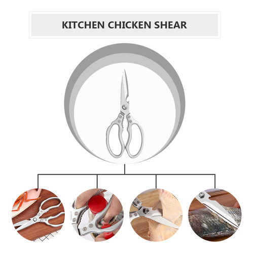 Tijeras De Acero Inoxidable Con Forma De Tijera Para Huesos