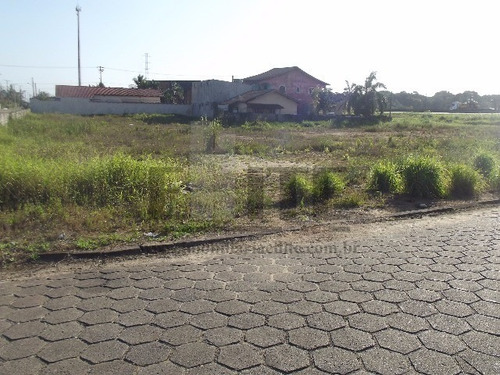Imagem 7 de 30 de Terreno - Te00031 - 3240162