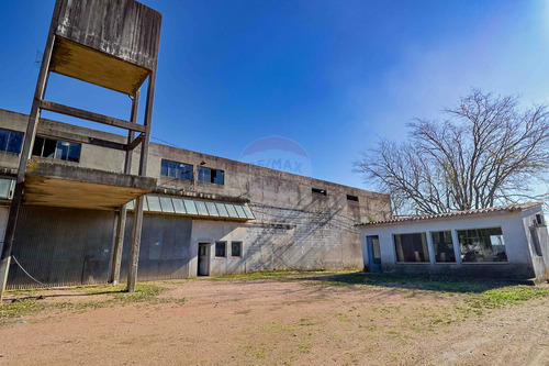 Venta Bodega O Deposito 10 Hectareas, Toledo Chico