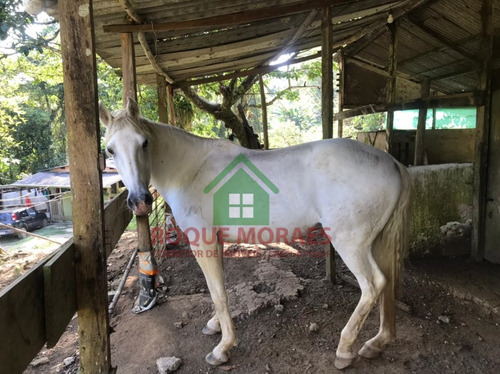 Imagem 27 de 30 de Sítio À Venda Em Juquitiba, Medindo 21800m² Ref 0985