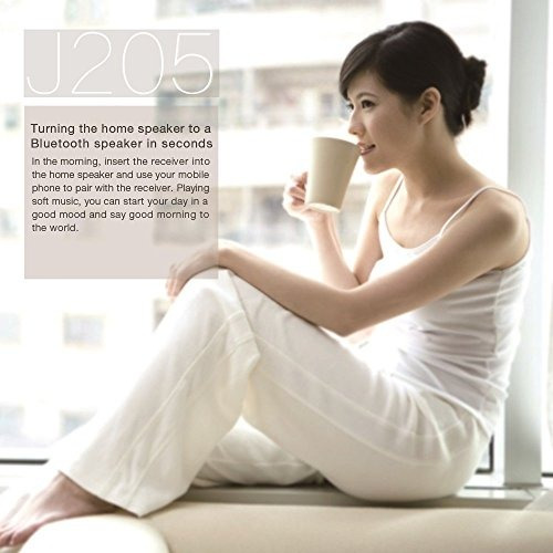 Golvery Receptor Bluetooth (advanced Bluetooth 4.2, A2dp) -