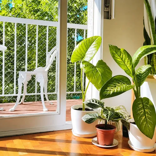 Departamento en alquiler en Villa Urquiza