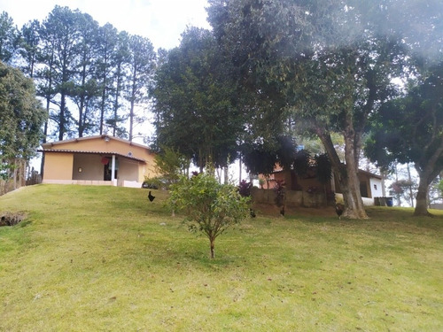 Imagem 6 de 14 de Chácara Ibiuna