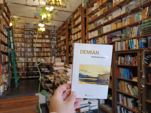 Demian. Hermann Hesse. (Usado)