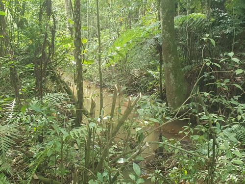 Terreno Sitio Chacara Lote Loteamento Com Lago 16.000 M² Ibiuna Sonho Tranquilidade Natureza Refugio