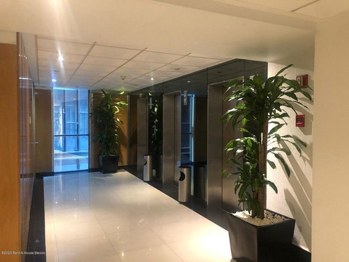 Imagen 4 de 14 de Oficinas En Renta En Avenida Prol. Paseo De La Reforma 21-3211