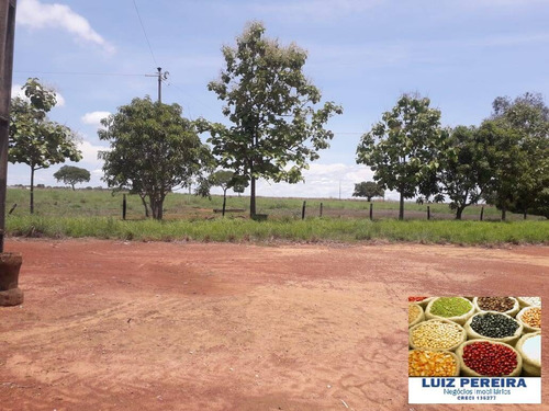 Imagem 14 de 15 de Fazenda À Venda Em Peixe - To - De 200 Alqueirões (dupla Aptidão) - 1721