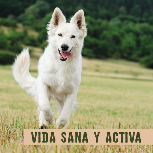 Imagen 5 de 5 de Croquetas Sportmix Wholesomes Cordero 12 Kg Para Perros
