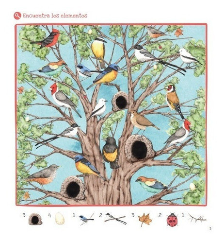 Imagen 4 de 10 de Libro Actividades Conociendo Flora Y Fauna Del Uruguay Pika