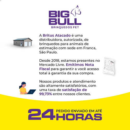 Frisbee Cachorro Brinquedo Pet Interativo Cães Disco Bigbull