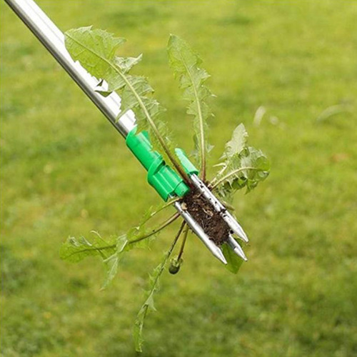 Extrator De Ervas Daninhas De Pé Para Jardim Gramado Weeder