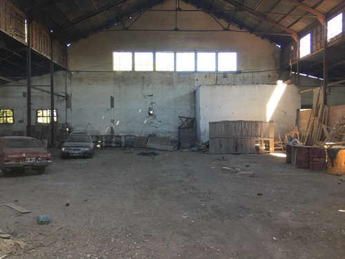 Bodega Boutique Y Finca En San Rafael. Terreno Apto Para Loteo De 650 Lotes De 400 M2 C/u. Alquiler De Tierra Para Pasto O Ajo. Oportunidad Para Invertir En San Rafael, Mendoza.