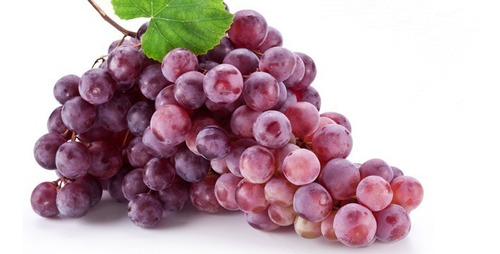 Muda De Uva Niágara Rosa Enxertada Já Produz Com 80 Cm