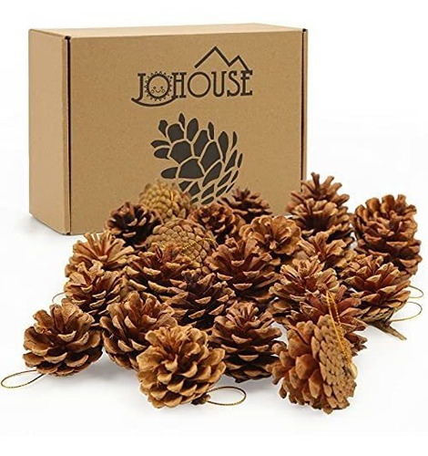 Johouse 24pcs Pinecones, Natural Pinecones Paquete, Jtxqi