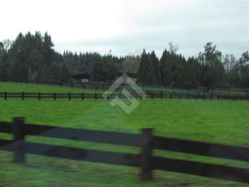 Sitio En Venta En Panguipulli