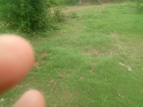 Imagen 3 de 6 de Venta De Terreno En El Municipio Del Crucero.