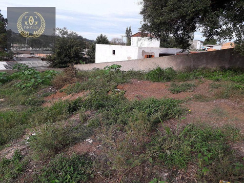 Imagem 6 de 13 de Terreno À Venda, 360 M² Por R$ 96.000 - Vila Elsa - Viamão/rs - Te0170