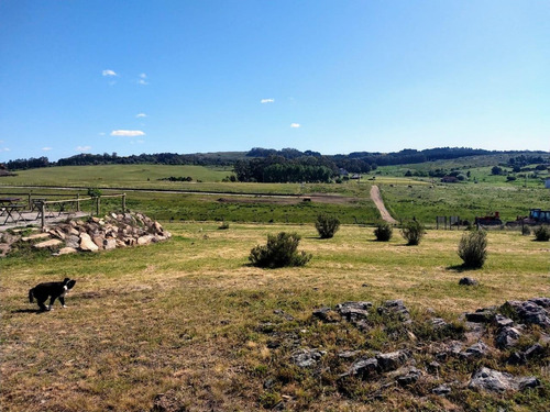 Imagen 4 de 14 de Casa En La Sierra 2/4 Pers. Pileta Parrilla Disp Sep/oct/nov