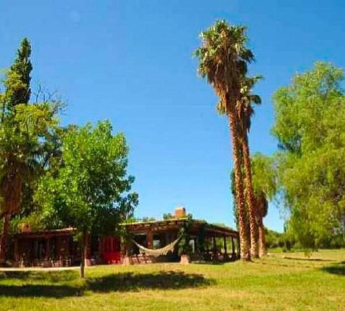 Finca S/lote 50 Has- Venta- Calingasta- San Juan