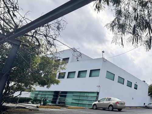 Renta De Edificio Para Oficinas En Monterrey, Ave. Morones Prieto