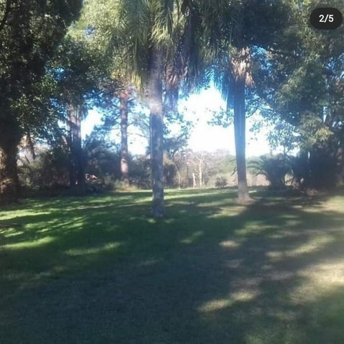 Imagen 9 de 13 de Venta 8,5 Has - San Jose - E.r.