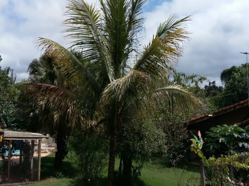 Imagem 15 de 16 de Chacara - Ch00215 - 69030362